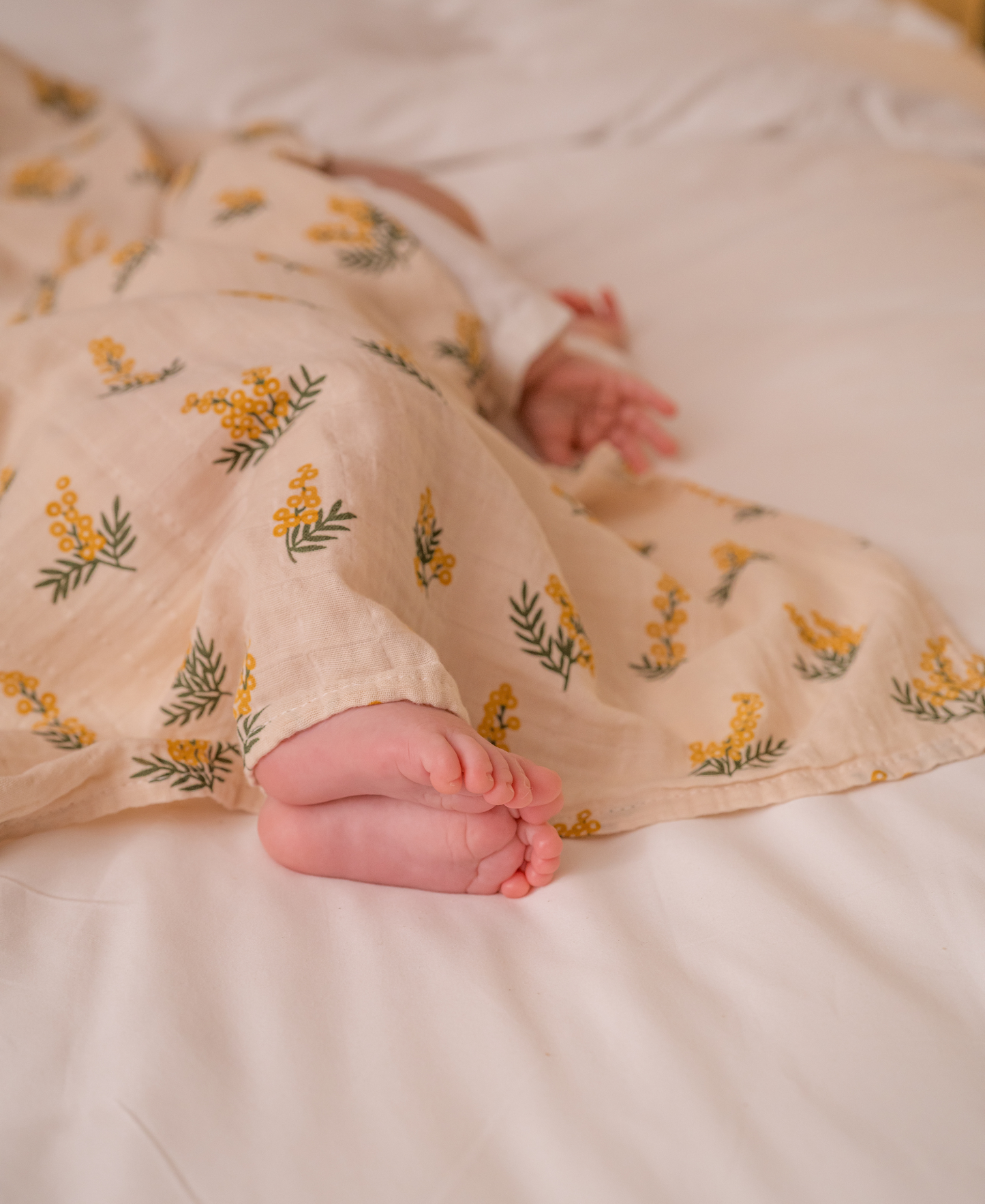 The Snug In Mahbub Bundle - Mahbub