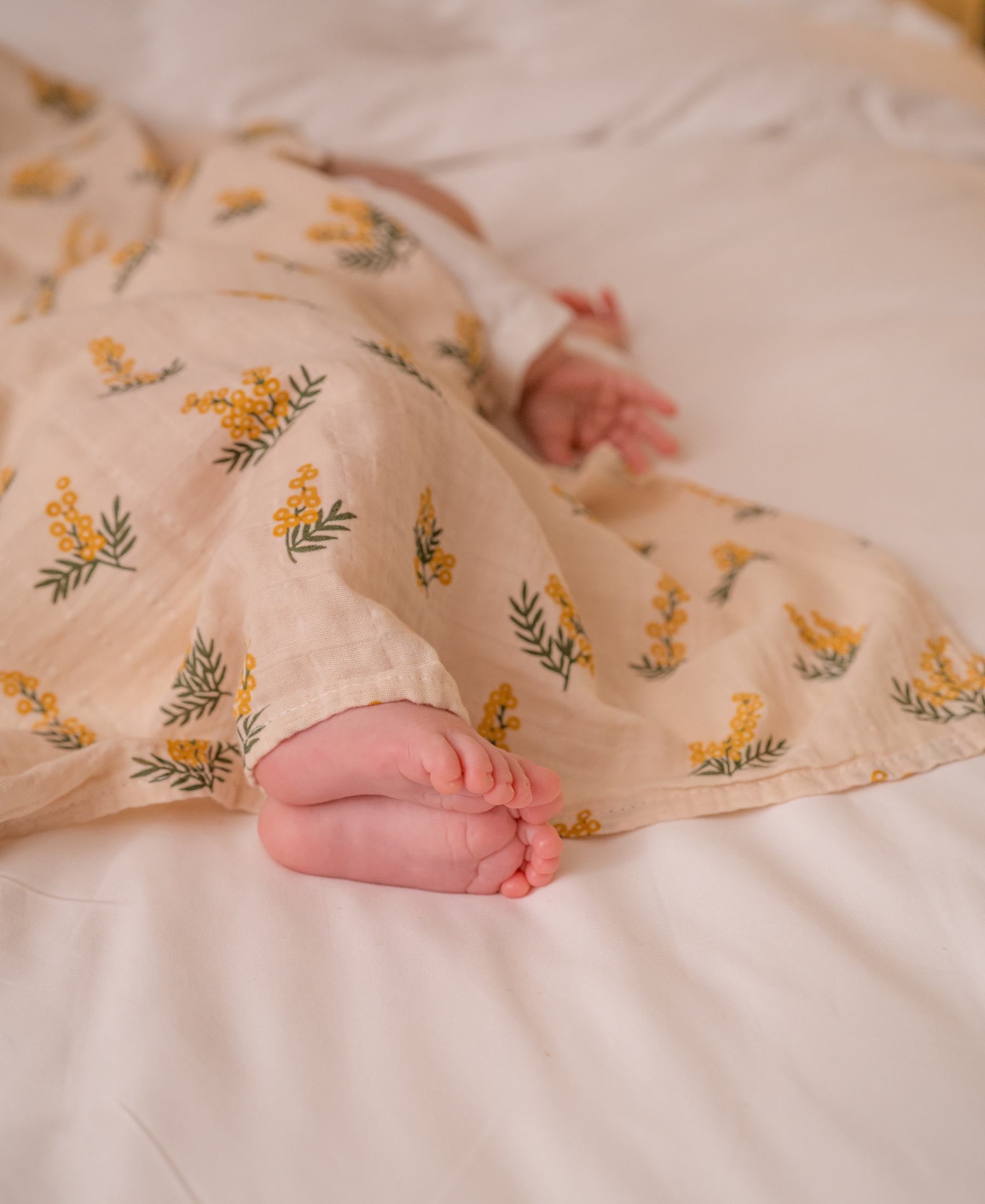 The Snug In Mahbub Bundle - Mahbub